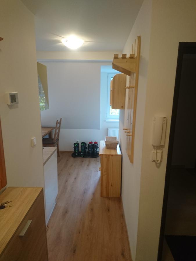 ubytování u Javoru 232/9 Pec pod Snezkou Exterior foto